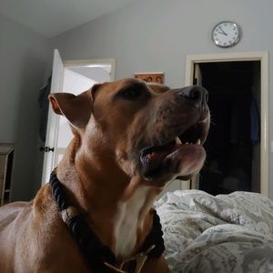 Meet your Posher, Lawrence